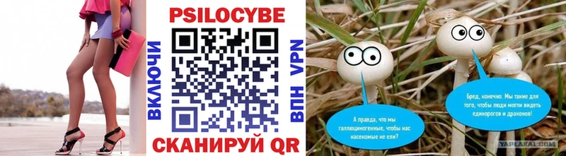 Купить где  Касимов  Псилоцибиновые грибы прущие грибы 